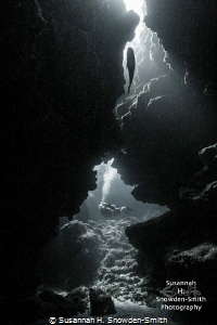 A diver explores a swim through as light filters down fro... by Susannah H. Snowden-Smith 